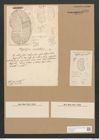 Plagiodiscus nervatus Grun. (de-Toni-Nr.: Genus 56, Species 2423) Zeichnungen Sammlung Grunow Nr. 4878 (NHMW-BOT-W0373065)